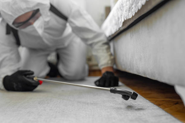 Professional Termite Control technician working in Washington County County, TX